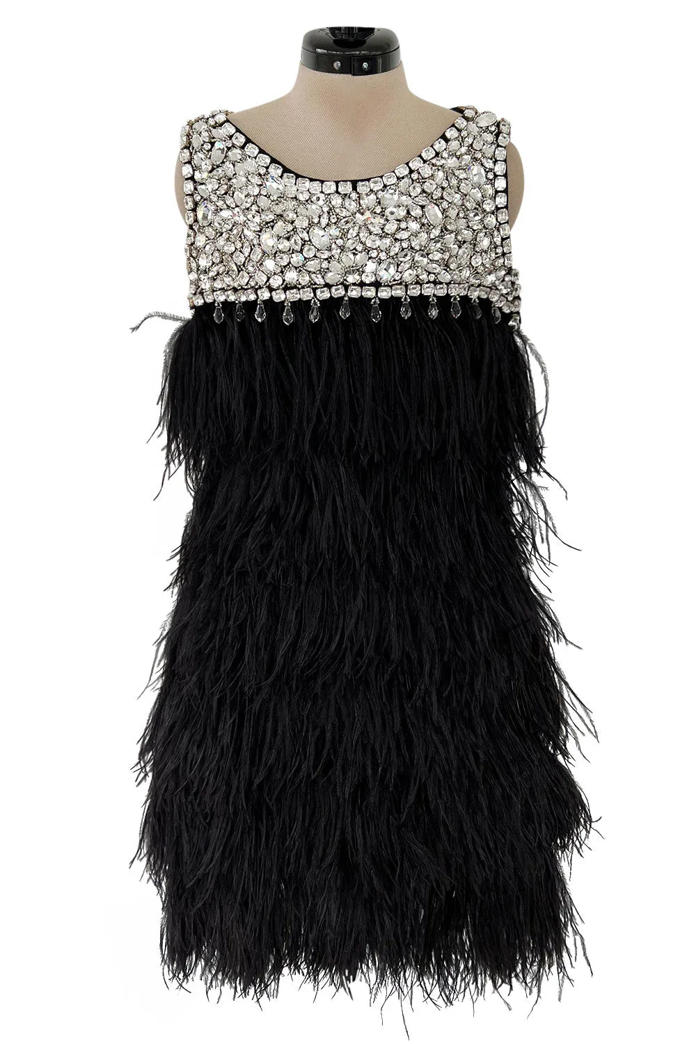Gorgeous Fall 2010 Loris Azzaro by Vanessa Seward Runway Ostrich Feather & Huge Crystal Dress