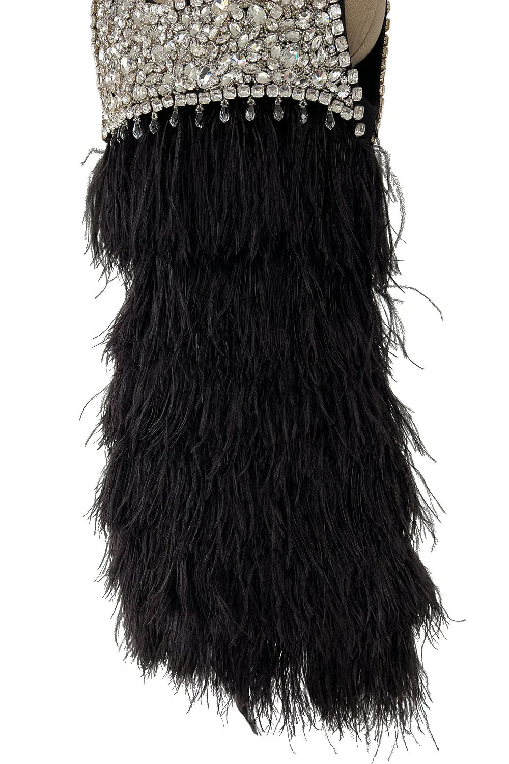 Gorgeous Fall 2010 Loris Azzaro by Vanessa Seward Runway Ostrich Feather & Huge Crystal Dress