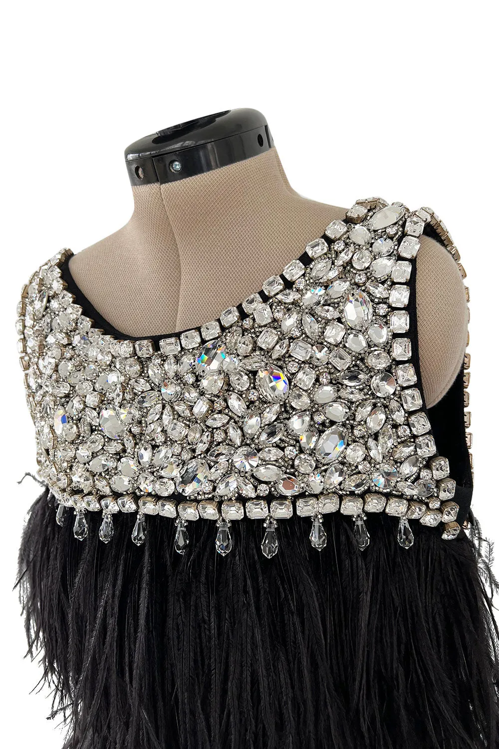 Gorgeous Fall 2010 Loris Azzaro by Vanessa Seward Runway Ostrich Feather & Huge Crystal Dress