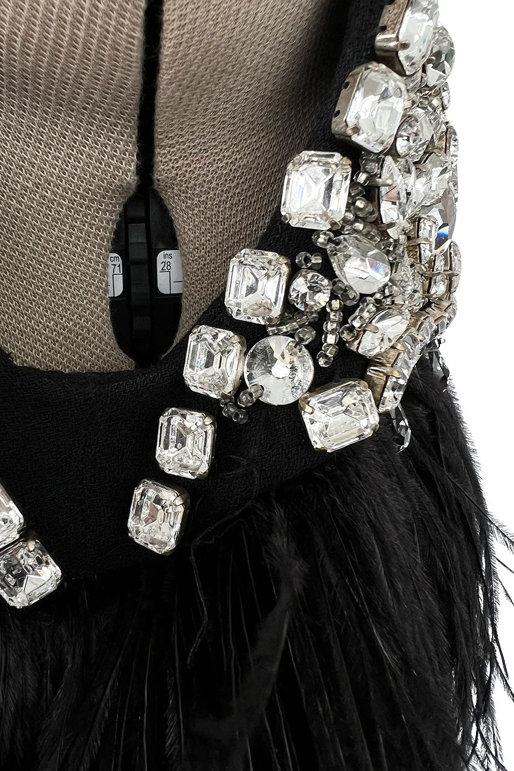 Gorgeous Fall 2010 Loris Azzaro by Vanessa Seward Runway Ostrich Feather & Huge Crystal Dress