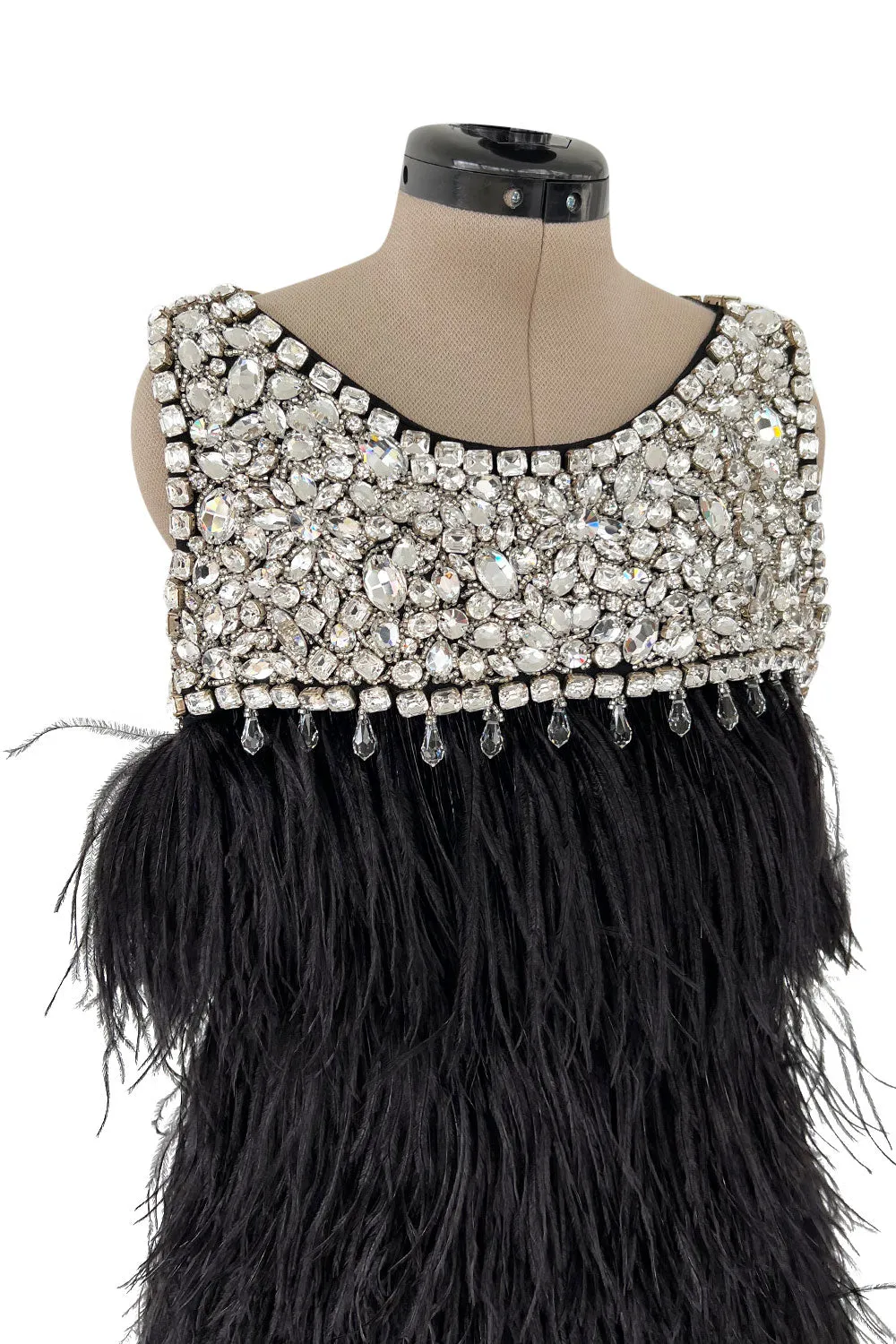 Gorgeous Fall 2010 Loris Azzaro by Vanessa Seward Runway Ostrich Feather & Huge Crystal Dress
