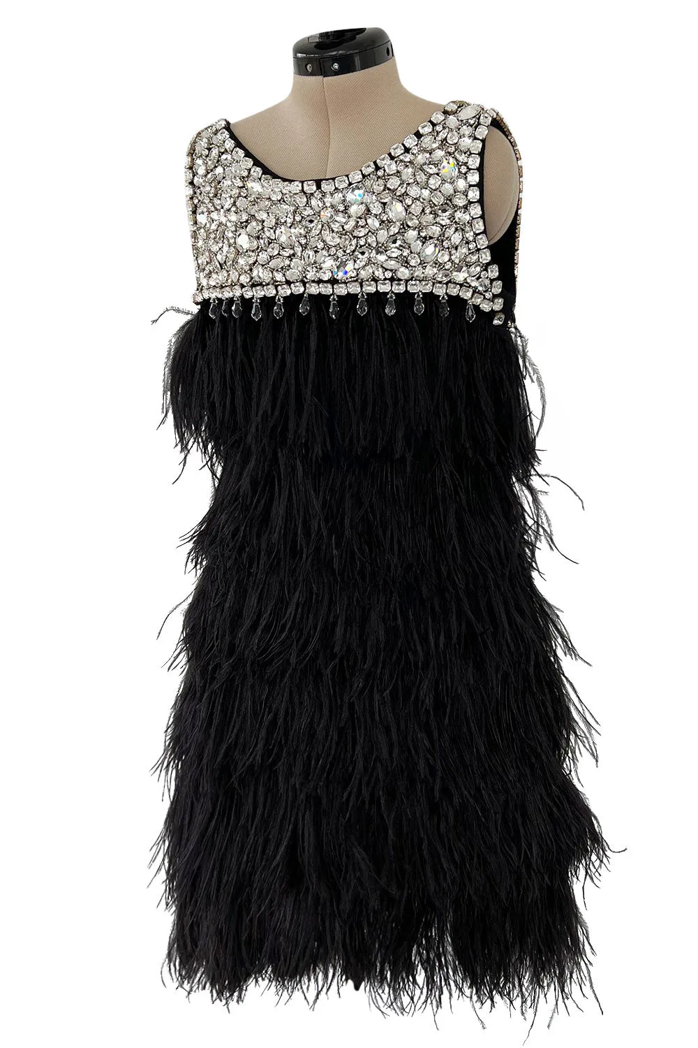 Gorgeous Fall 2010 Loris Azzaro by Vanessa Seward Runway Ostrich Feather & Huge Crystal Dress