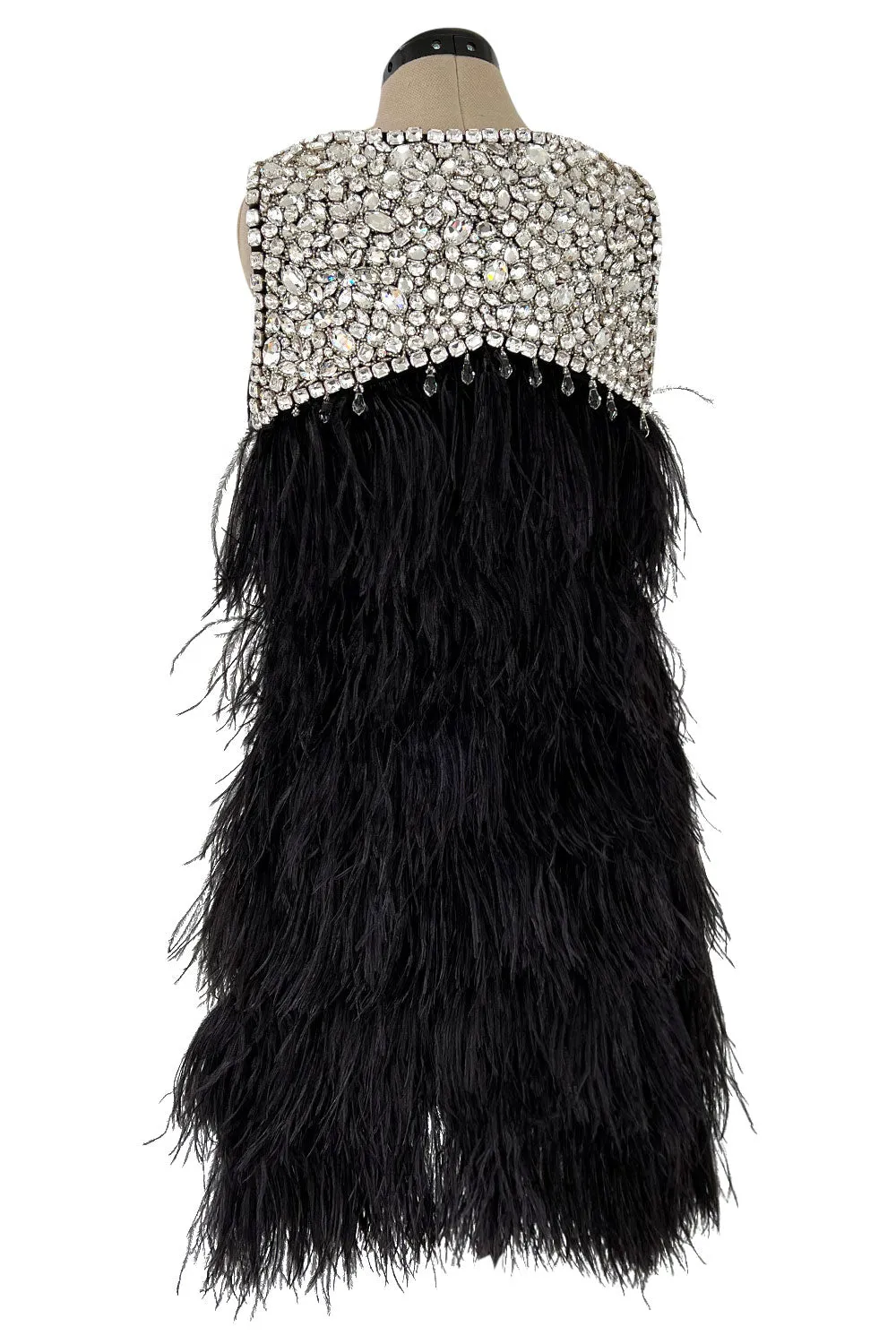 Gorgeous Fall 2010 Loris Azzaro by Vanessa Seward Runway Ostrich Feather & Huge Crystal Dress