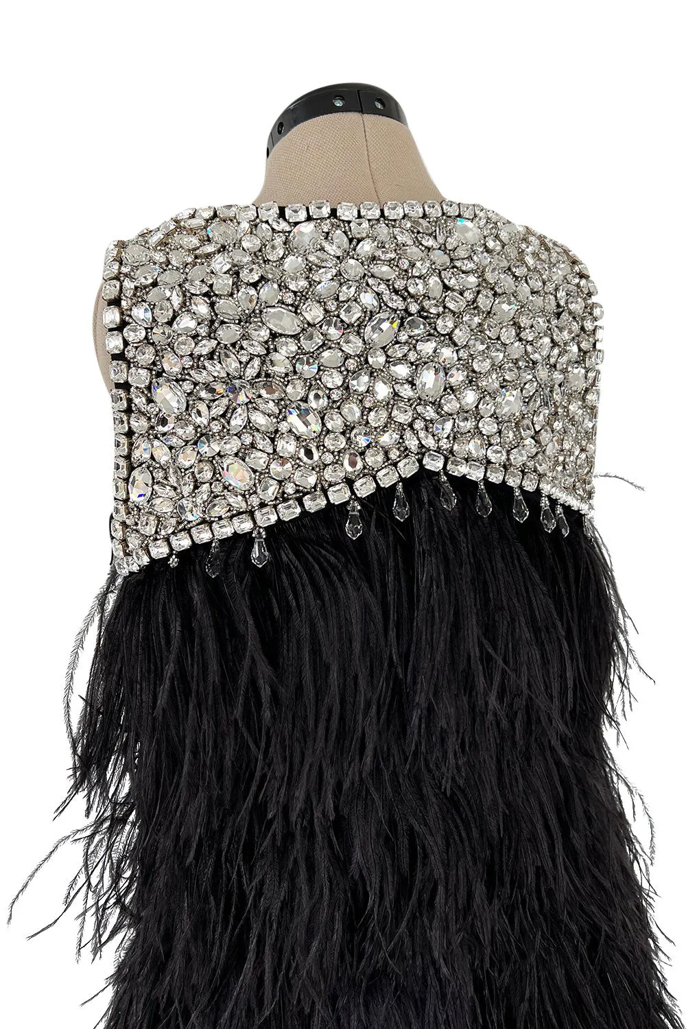Gorgeous Fall 2010 Loris Azzaro by Vanessa Seward Runway Ostrich Feather & Huge Crystal Dress