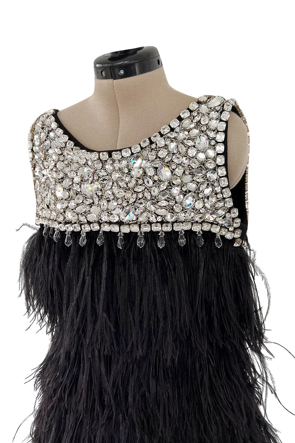 Gorgeous Fall 2010 Loris Azzaro by Vanessa Seward Runway Ostrich Feather & Huge Crystal Dress