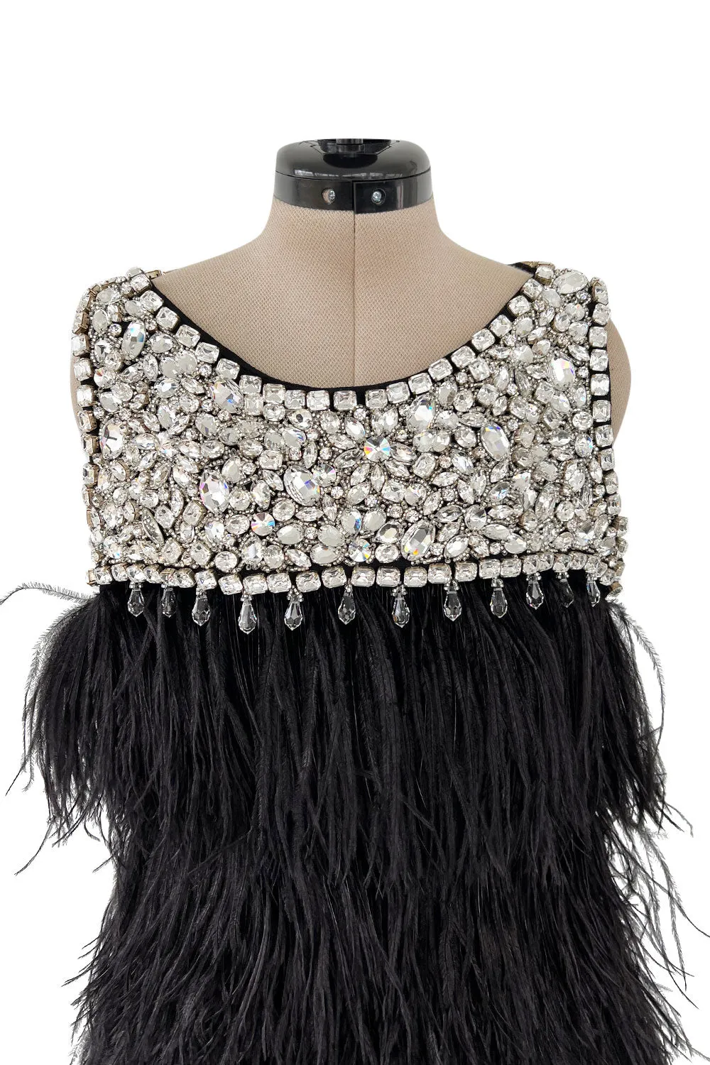 Gorgeous Fall 2010 Loris Azzaro by Vanessa Seward Runway Ostrich Feather & Huge Crystal Dress