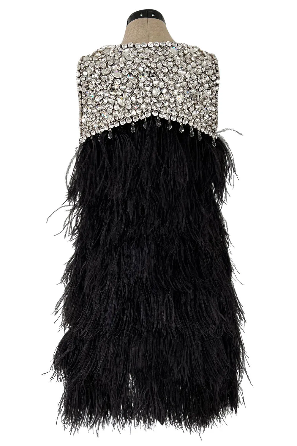 Gorgeous Fall 2010 Loris Azzaro by Vanessa Seward Runway Ostrich Feather & Huge Crystal Dress